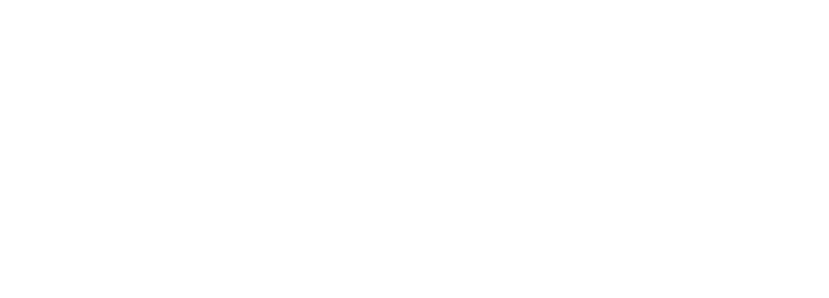 Cropped mobilespot systems logo weiss.png